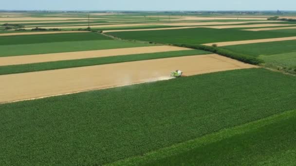 上記のビューでは カメラのパンニング ドリーは 農業分野で成熟した小麦を切断し 収穫を組み合わせることで オーバーフライ収穫を転送移動します — ストック動画