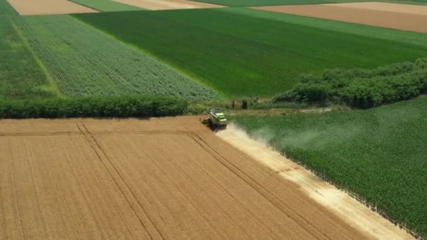 相机捕猎 娃娃式地向前移动 飞越收割机 在农田 农田上联合收割成熟小麦 — 图库视频影像