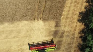 Zirai biçerdöver üzerindeki hava manzarası, tarım arazilerindeki olgun buğdayları kesip biçerken birleşiyor..