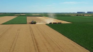 Dolly 'nin üstünde, tarımsal hasat aracının etrafında geriye doğru dönüyor, çiftliklerdeki buğdayları kesip biçerken birleşiyor. İki römorklu traktör transferi bekliyor..