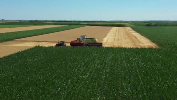 上の図では 収穫機の周りのドローンの動き 軌道は 2つのトラクターのトレーラーの1つに収穫成熟した小麦と荷降ろしとして結合し — ストック動画