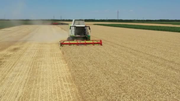 Dolly Nin Üstünde Tarım Hasat Makinesinin Yörüngesinde Çiftlikte Buğday Keserken Video Klip