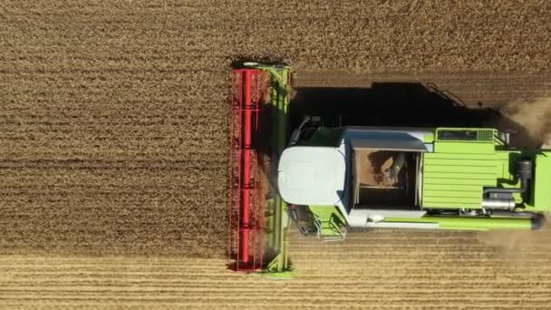 Aerial Top Dolly Ruch Śledzić Widok Nad Głową Kombajn Rolniczy — Wideo stockowe