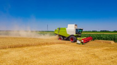Tarımsal hasatçıya bakın, tarım arazilerindeki olgun buğday bitkilerini kesip biçerken birleşin..