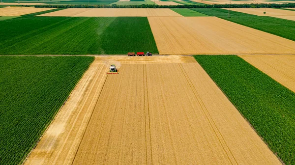 Atas Pandangan Depan Tentang Pemanen Pertanian Menggabungkan Pemotongan Dan Panen — Stok Foto