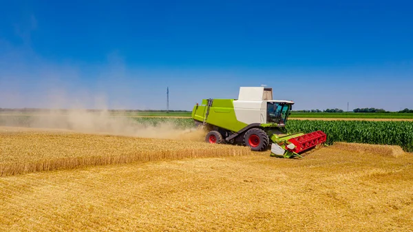 View Agricultural Harvester Combine Cutting Harvesting Mature Wheat Vegetation Farmland — Stock Photo, Image