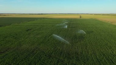 Dolly 'nin sulama sistemi etrafındaki yörüngesini değiştirmesiyle, su püskürtücüleri, mısır tarlasında, büyümeye yardımcı olur, kurak mevsimde bitki örtüsü, mahsul verimini artırır..