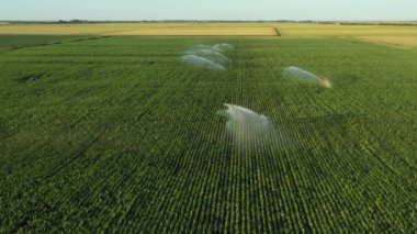 Sulama sisteminin üzerinde, su püskürtme silahları, mısır tarlasında, büyümeye yardım eden, kurak mevsimde bitki örtüsü, ekin verimliliğini artırır..