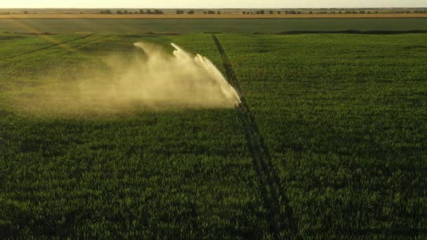 Háttérvilágítással Öntözőrendszer Felett Vízsugaras Esőágyúk Szórófejei Kukoricával Mezőn Termesztés Elősegítése — Stock videók