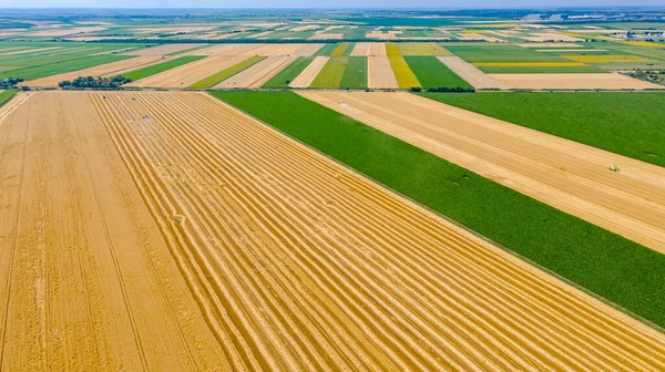 高い眺めの上で いくつかの収穫者の上に 組み合わせは 分割された農業分野で成熟した小麦を切断して収穫しています 夏の収穫時期 — ストック写真