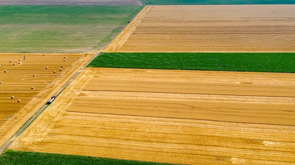 High View Several Harvesters Combines Cutting Harvesting Mature Wheat Farmland — Stock Photo, Image