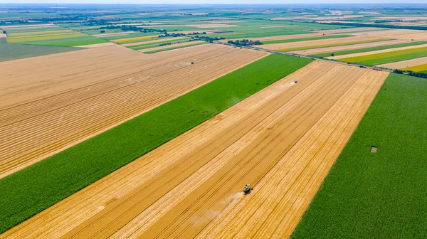 High View Several Harvesters Combines Cutting Harvesting Mature Wheat Farmland Stock Image