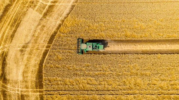 Zirai Hasat Makinesinin Üstünde Tarım Arazilerinde Olgun Buğday Kesip Biçerken — Stok fotoğraf