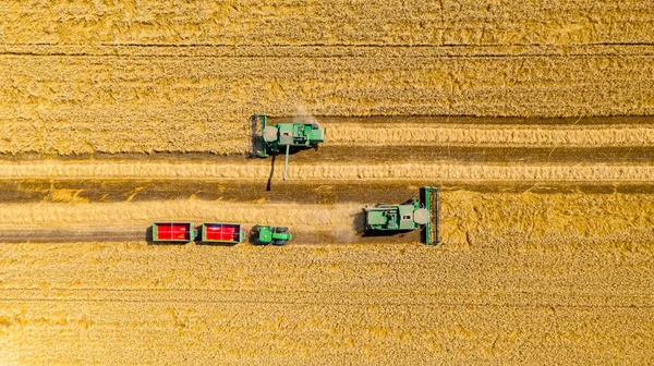 Top View Two Harvesters Combines Cutting Harvesting Mature Wheat Farmland — Stock Photo, Image