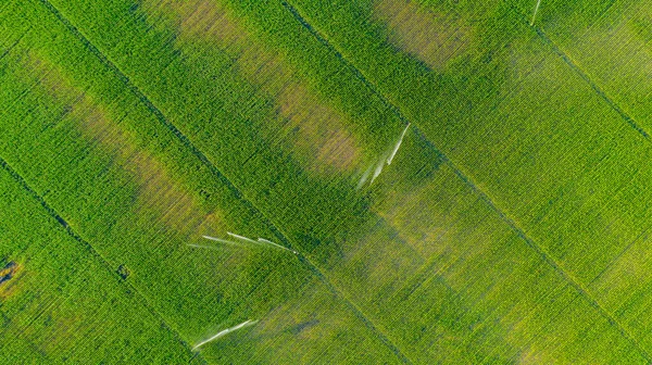 灌漑システムの上のビューの上に 水ジェット雨の銃スプリンクラーは トウモロコシの畑で 成長を助け 乾季の植生を増加させ 作物収量を増加させる — ストック写真