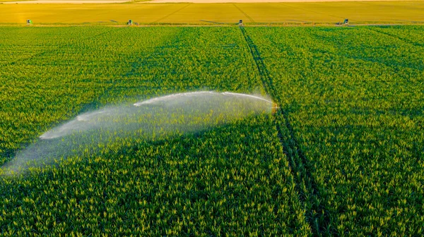 Öntözőrendszer Felett Vízsugaras Esőágyúk Szórófejei Mezőn Kukoricával Termesztés Elősegítése Növényzet — Stock Fotó
