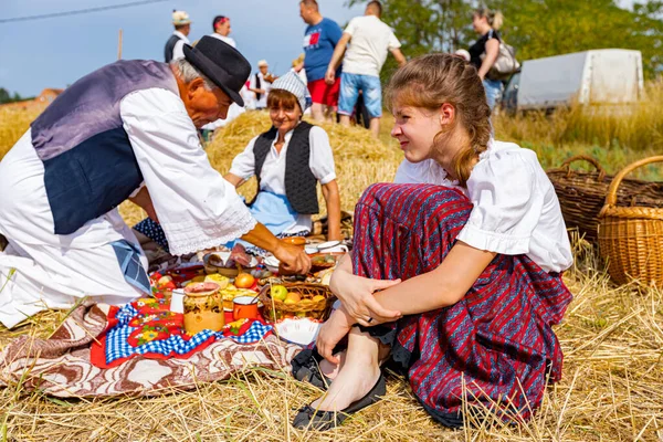 Muzlja Vojvodina Servië Juli 2022 Xxxix Traditioneel Graan Maaien Mooi — Stockfoto