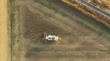 Zirai hasat makinesinin üst görüntüsü tarım arazilerinde gelişmemiş olgun ayçiçeklerini kesip biçiyor ve hasat ediyor. Kuraklıktan kaynaklanan düşük verim. İki römorklu traktör bekliyor..