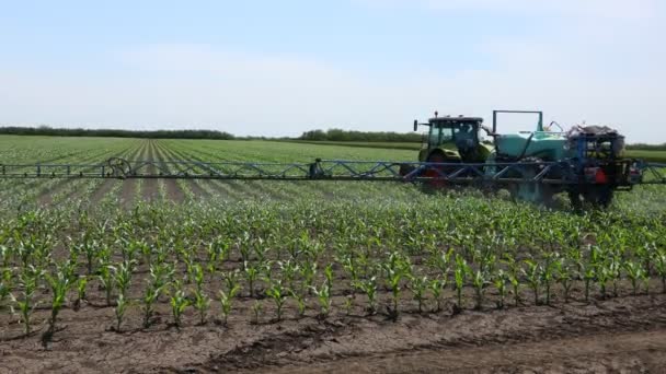 옥수수 옥수수의 끝없는 농장을 트랙터 필드에 분무기를 드래그하여 옥수수 — 비디오