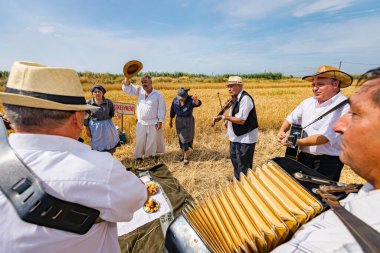 Muzlja, Voyvodina, Sırbistan, - 02 Temmuz 2022; Geleneksel olarak buğday hasadı. Akordiyoncu akordeon körüğü uzatıyor. Geleneksel kırsal alanda buğdayı elle biçmeden önce başarı müziği