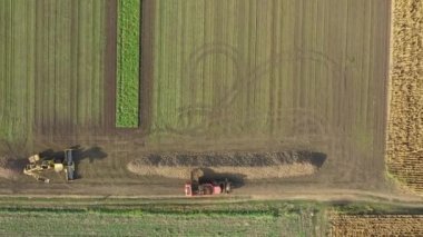 Tepe üzerindeki doli, olgun şeker pancarı köklerini kesip biçmek için biçerdöverin üzerine doğru hareket ediyor, yeni toplanmış kargoyu uzun bir yığın halinde yere taşıyor.. 