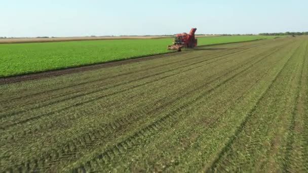Nad Dolly Posuňte Pohled Zemědělské Stroje Sklízeč Jako Řezání Sklízení — Stock video