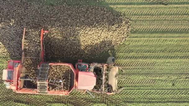 Dessus Vue Sur Machine Agricole Moissonneuse Batteuse Pour Couper Récolter — Video