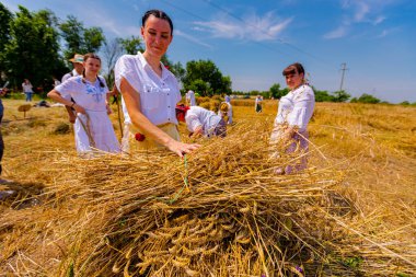 Muzlja, Voyvodina, Sırbistan, - 01 Temmuz 2023; XL Geleneksel olarak buğday biçen çok sayıda kadın daha büyük bir yığın yapmak için küçük demet biçilmiş buğday topluyor.