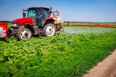 Düşük açıdan bakıldığında, traktör ekilmiş bir tarlaya, rüzgâr esintisine, ekilmiş geniş tarım püskürtücüsünü sürükleyerek genç ayçiçeğinin uçsuz bucaksız tarım arazisini püskürtüyor..