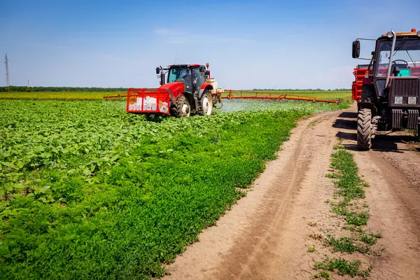 Düşük açıdan bakıldığında, traktör ekilmiş bir tarlaya, rüzgâr esintisine, ekilmiş geniş tarım püskürtücüsünü sürükleyerek genç ayçiçeğinin uçsuz bucaksız tarım arazisini püskürtüyor..