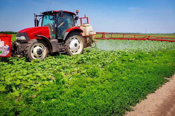Düşük açıdan bakıldığında, traktör ekilmiş bir tarlaya, rüzgâr esintisine, ekilmiş geniş tarım püskürtücüsünü sürükleyerek genç ayçiçeğinin uçsuz bucaksız tarım arazisini püskürtüyor..