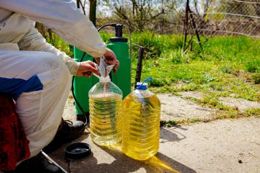 Bahçıvan uygun miktarda su ve küçük torbadan uygun miktarda özüt hazırlıyor. Uygun ölçekte, böcek ilacının botanik çözeltileri, mantar ilacı, bahar başında meyve ağaçları serpmek için..