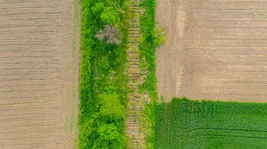 Üstten bakıldığında, sökülmüş eski pusucuların zemininde, demiryolundan ayrılmış tarımsal tarlalar arasında çimen ve bitki örtüsüyle kaplanmış olarak. Arkaplan, kalıp, soyut