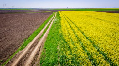 Ülke görüşünün üzerinde, tarımsal tarlalar, kırsal yol, çiçek açan kolza tarlası ya da Latin Brassica Napus çiçekleri arasında uzanan kirli bir yol var.