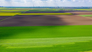Mısır gevreği kültürüyle tarımsal tarlaların üzerinde taze buğday mahsulü olan ekilebilir tarım arazileri.