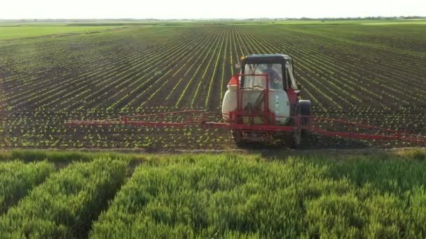 Vue Dessus Avec Rétroéclairage Sur Tracteur Jusqu Pulvérisation Terres Agricoles — Video