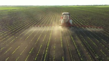 Manzaranın üstünde, kule, tarlaları ilaçlayana kadar, traktörün arkasına ışık tutarak hareket ediyor, tarlaya monte edilmiş tarım spreyini sürüklüyor, mısır, mısır, mısır, mısır....