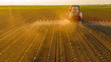 Tarım arazisi püskürtene kadar arka fonda ışık vardı. Genç mısır, mısır ve mısır tarlalarıyla tarlaya yayılmış geniş tarım spreyleri sürüklüyordu..