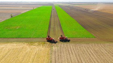 Tarımsal makinelerin, hasatçıların üstünde olgun şeker pancarı köklerini kesip biçmek var. İkincisi, toplanan kargoyu, yığının, tarım alanının ve takım çalışmasının üzerine boşaltmak..