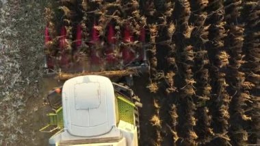 Üstten bakıldığında, Dolly tarım hasatçısının üzerinden tarım arazilerinde olgun mısırları kesip biçerek geçiyor..