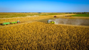 Above, view of agricultural harvester as cutting and harvesting mature corn on farm fields.