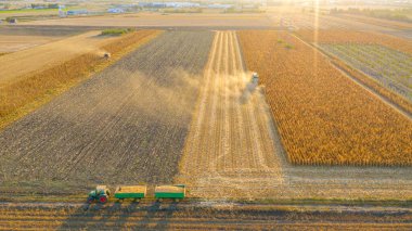 Tarımsal hasatçıların üstünde tarım tarlaları ve mısır tarlalarında olgun mısırları kesip biçmek var. İki römorklu traktör nakil için hazır. Hasat mevsiminde ekilmiş araziler