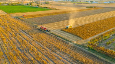 Tarımsal hasatçıların üstünde tarım tarlaları ve mısır tarlalarında olgun mısırları kesip biçmek var. İki römorklu traktör nakil için hazır. Hasat mevsiminde ekilmiş araziler