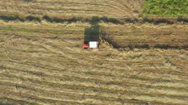 Tırmıkla bağlı traktör dönüyor ve kuru otları topluyor saman demetleri ya da balyalar için uzun kuyruklar oluşturuyor. Tarım makineleri, çayırda kurumuş mahsulü döndürmek için parmak tırmığı.