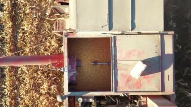 Üstten bakıldığında, Dolly tarım hasatçısının üzerinden tarım arazilerinde olgun mısırları kesip biçerek geçiyor..