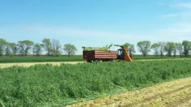 Düşük doli hareketli görüntü, ekin etrafında yörünge, ekin ekimi için yem toplayan tarım makineli traktör, arkada toplanan taze yeşil mahsulü depoluyor.