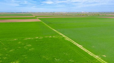 Ülke görüşünün üzerinde, tarımsal tarlalar arasında uzanan kirli yol, ekili araziler arasında kırsal yol, buğday çimi, ekili tarım arazilerinden gelen yeşil buğday.