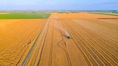 İki tarım hasatçısının üzerinde, tarlalarda yetişmiş buğdayları kesip biçerken bir araya geliyorlar..