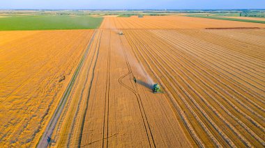 İki tarım hasatçısının üzerinde, tarlalarda yetişmiş buğdayları kesip biçerken bir araya geliyorlar..