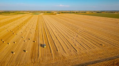 Traktörün yukarısında mercimeği fırına veren makine, kamışı yuvarlıyor ve tarımsal alanın üzerine yuvarlanmış bir balya püskürtüyor..